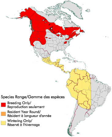 Summer and winter distribution of Swainson’s Thrush. Courtesy of Canadian Wildlife Service.