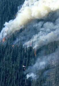 A helicopter with a drip torch in action (2003) lighting the back burn near St. Cyr Creek, Mount Revelstoke National Park. Rob Buchanan / Parks Canada photo