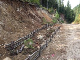 Bioengineering: A Restoration Course > Columbia Mountains